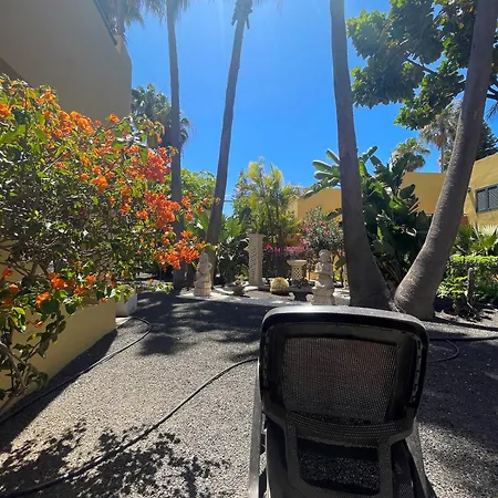 B-rent Atlantic Garden 181 Коральео