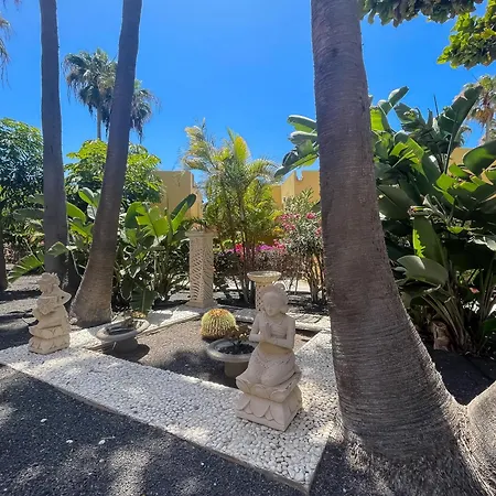 B-rent Atlantic Garden 181